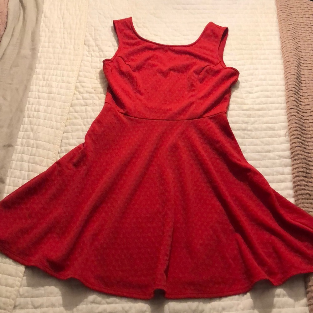 Red Holiday Skater Dress